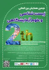 پوستر